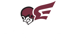 Erskine College banner logo